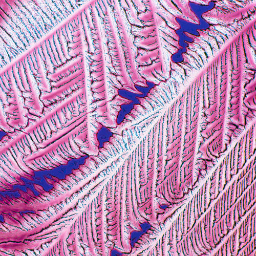 Iodine crystals under the microscope