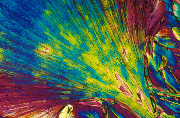 Lichtmikroskopische Aufnahme von L-Phenylalanin-Kristallen