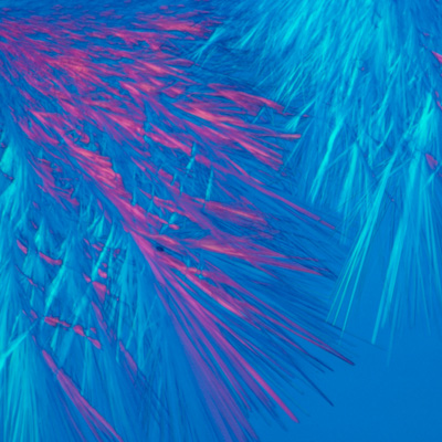Light microscopic image of pantothenic acid crystals