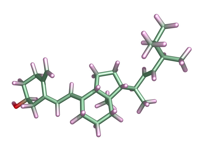 Diagram of a vitamin D2 molecule