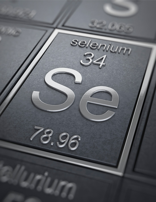 Selenium – the trace element for cell protection